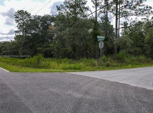 Corner Fig Tree Lane And India Hill Dr, Dunnellon, FL 34431