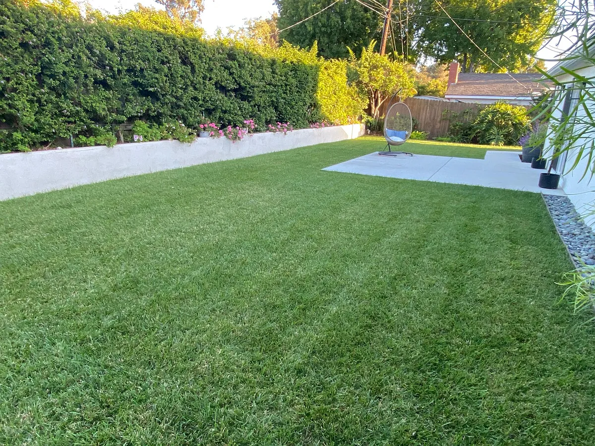 Lush backyard - 286 N Kellogg Ave