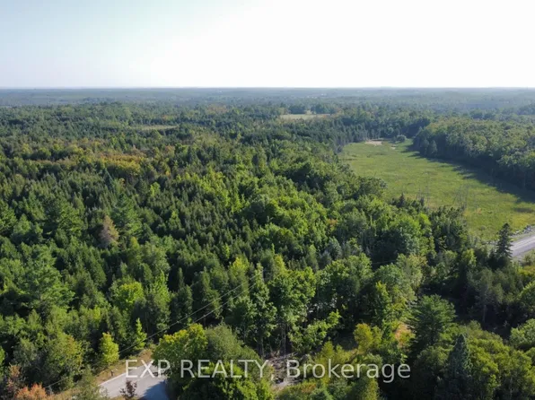 2822 Shannon Rd, Tyendinaga, ON K0K 3A0