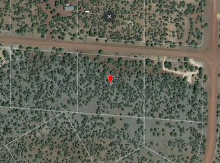 3596 W Gerry Ln #911, Williams, AZ 86046