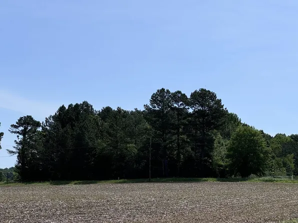 0 Darnell Rd, Oakfield, TN 38362