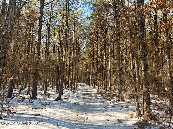 2nd image of Cook Wallace Rd