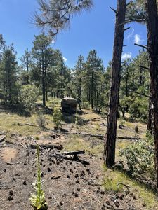County Road 37.5 Pkwy, Trinidad, CO, 81082