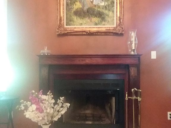 Fireplace in master