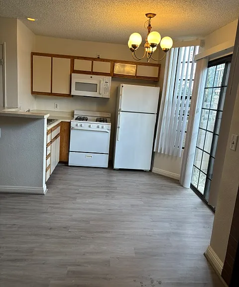 10307 Mount Gleason Ave #103 — Photo 6