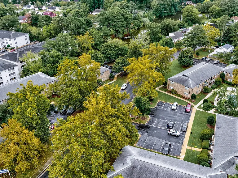 ReNew Norfolk — Photo 18