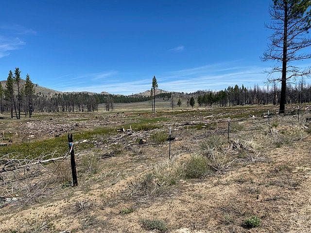 1st image of 631 Sugarloaf Rd