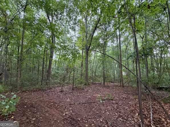 0 Caney Head Rd, Roopville, GA 30170