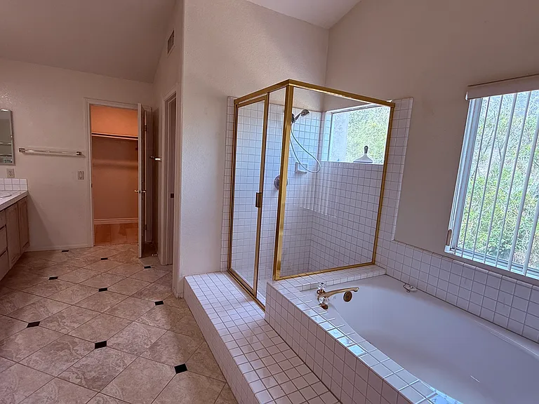 Master Shower and Bathtub