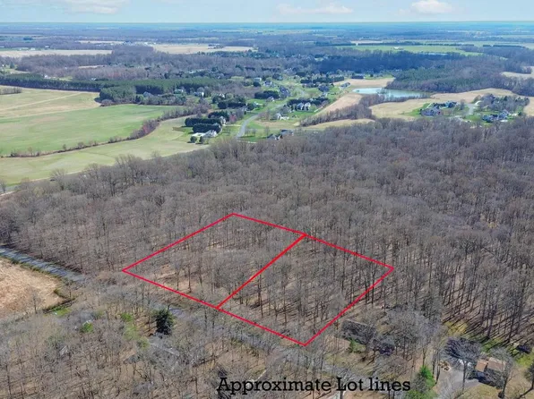 262 White Marsh Rd, Centreville, MD 21617