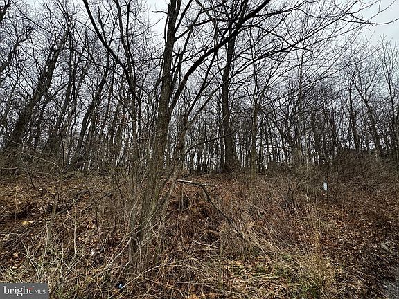 3rd image of 119 Braddock Hts