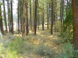 597 Ridgewood Dr, Portola, CA 96122