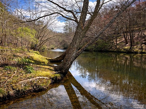 5th image of 105 Riveredge Dr