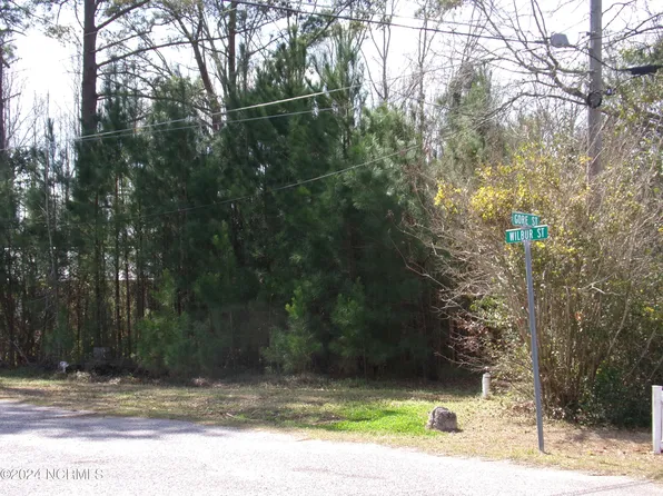 Lot # 15 Wilbur Street, Tabor City, NC 28463