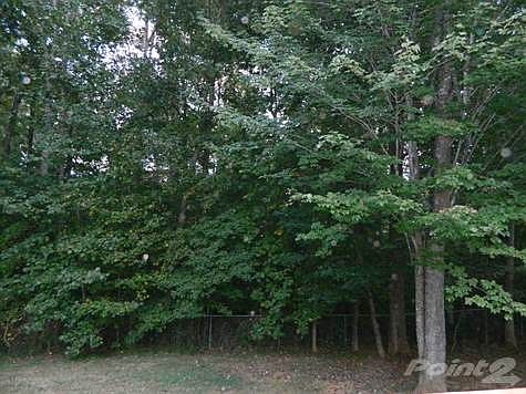 View of Fenced Backyad