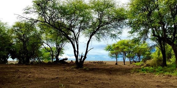 4th image of Kaumualii Hwy Lot 66