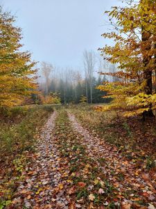 Murner Rd, Gaylord, MI, 49735