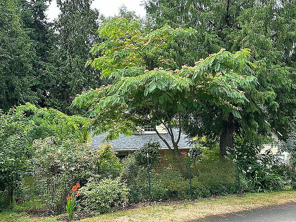 3rd image of 6001 Whale Dancer Ct NE