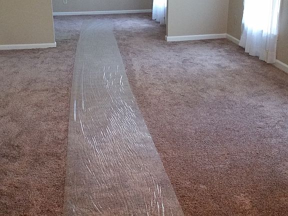 Foyer, living rm, & dining rm