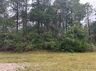 TBD NE 77TH COURT LOT 1, BRONSON, FL 32621