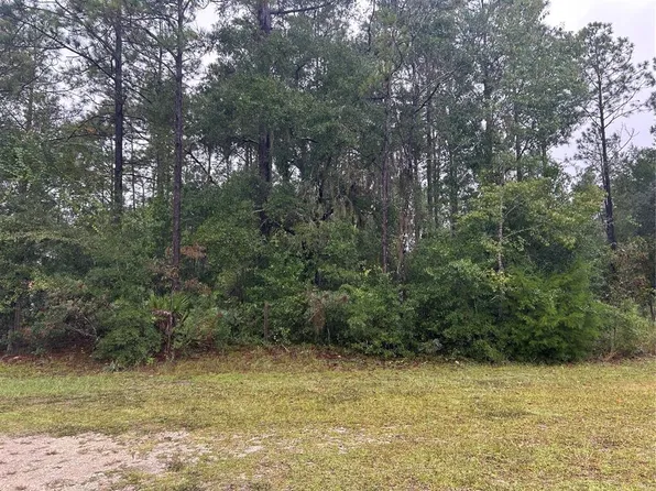 TBD NE 77TH COURT LOT 1, BRONSON, FL 32621