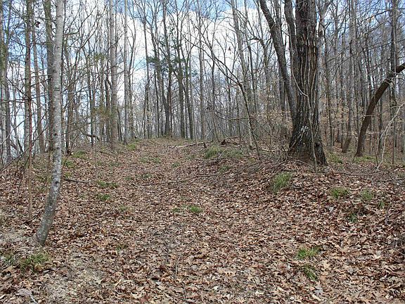 2nd image of 3482 Waterfall Creek Rd