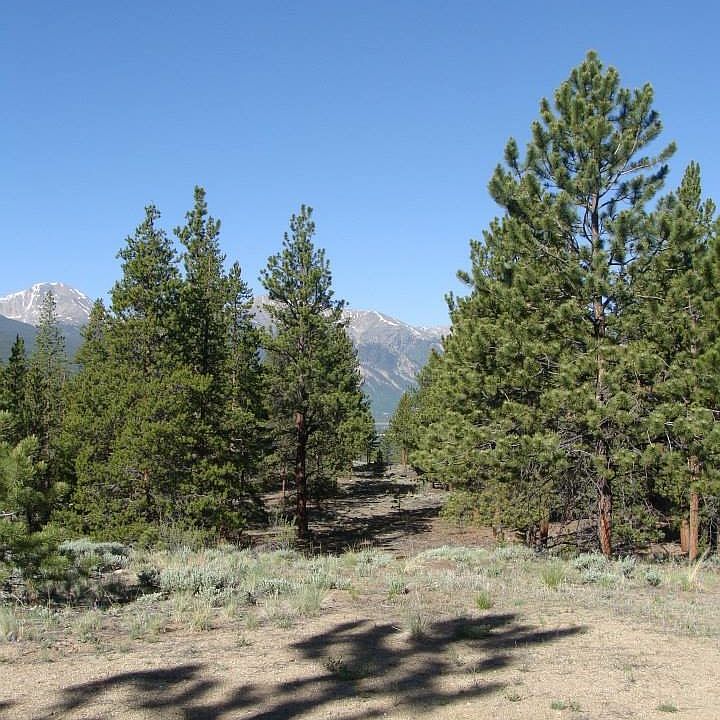 1st image of 10001 Otelia