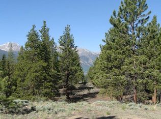 10001 Otelia, Twin Lakes, CO 81251