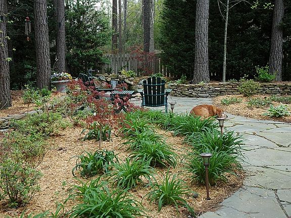 Back yard landscaping with pond