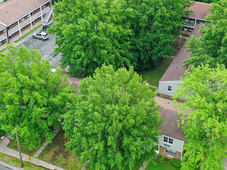 Upper Town Townhouses & Flats — Photo 7