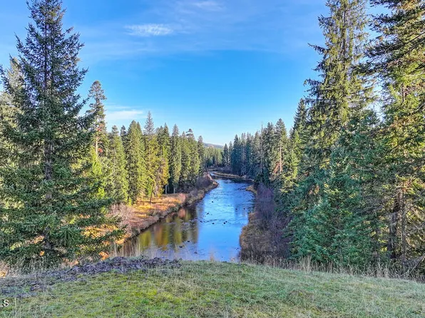 1382 Copperhead Ln, Santa, ID 83866