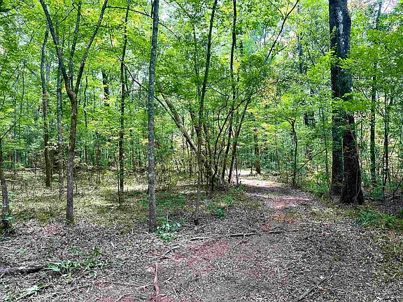 2nd image of Aucilla Plantation Ct