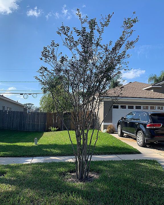 2nd image of 459 Maple Pointe Dr