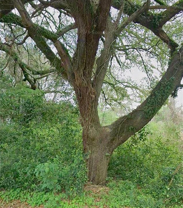 1st image of 0 Cypress Ave Lot E