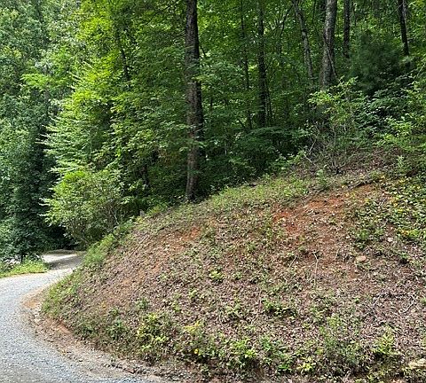 4th image of 0 Coman Rd Tract 4A