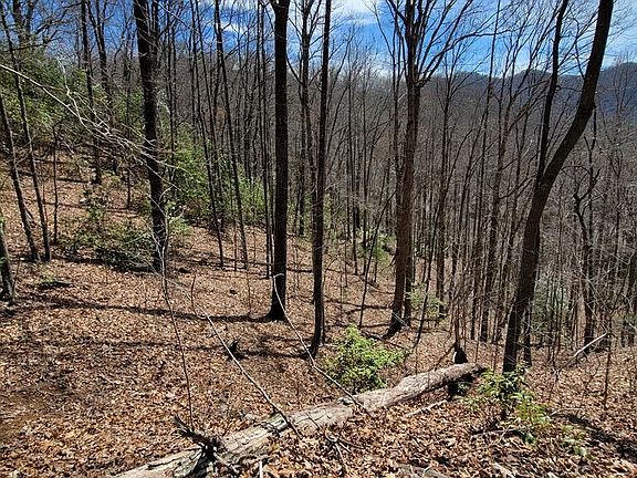 3rd image of 0 Watson Cove Rd