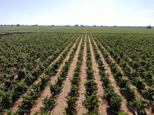 21575 N Davis Rd, Lodi, CA 95242