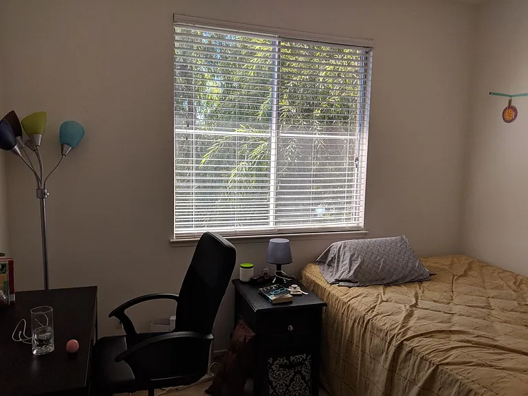 3553 Jasmine Cir — Photo 7