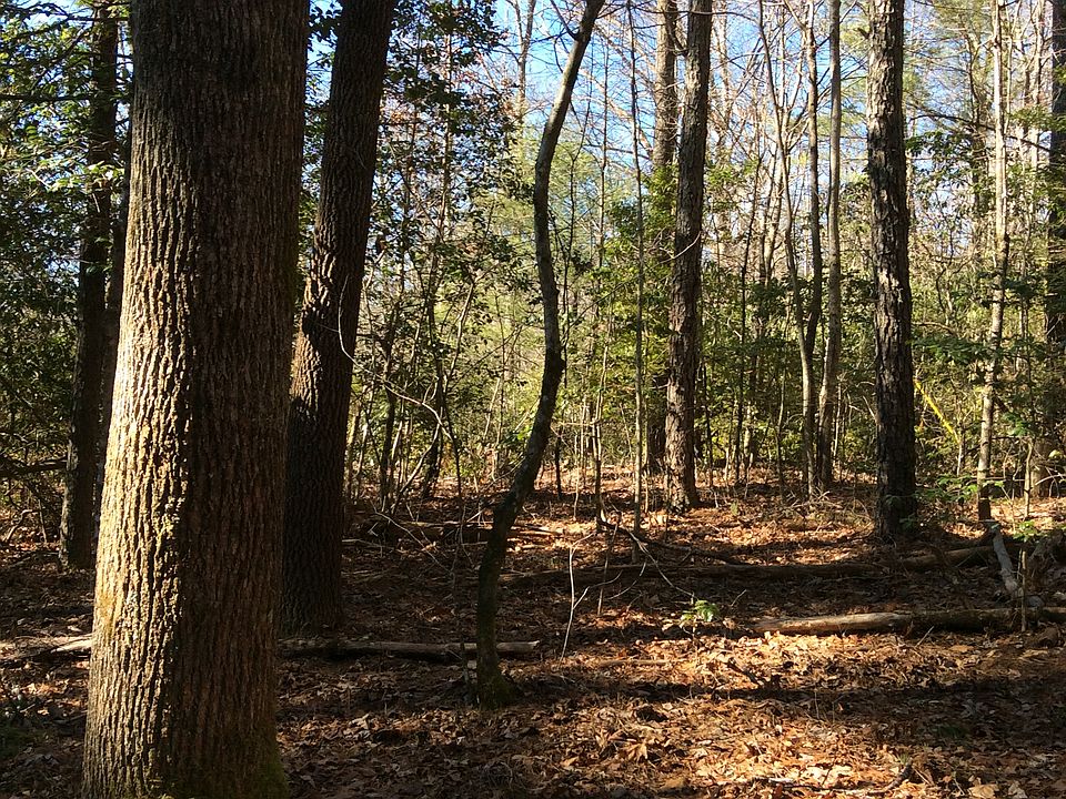 2nd image of 00 Us Hwy 64