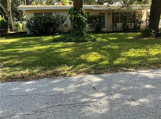 1330 Morningside St, Mount Dora, FL 32757