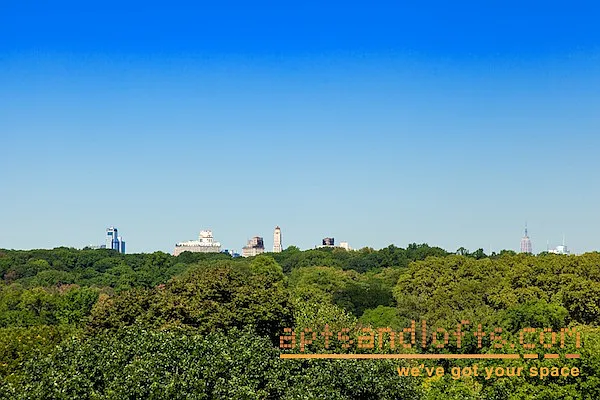 Rented by aptsandlofts.com | media 98