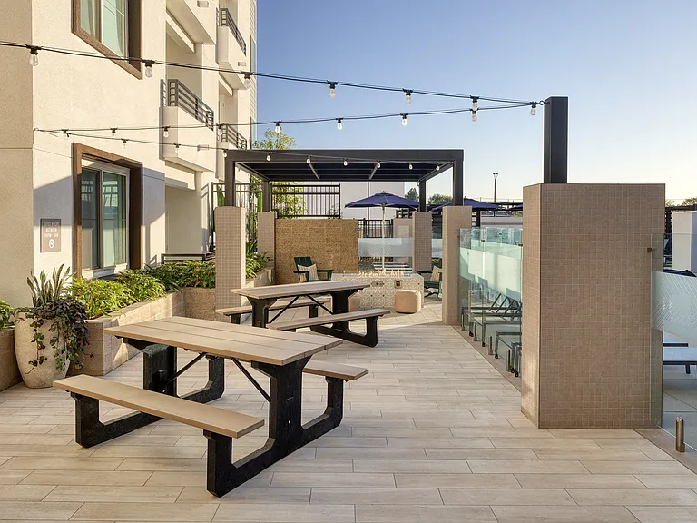 Zia — Photo 29