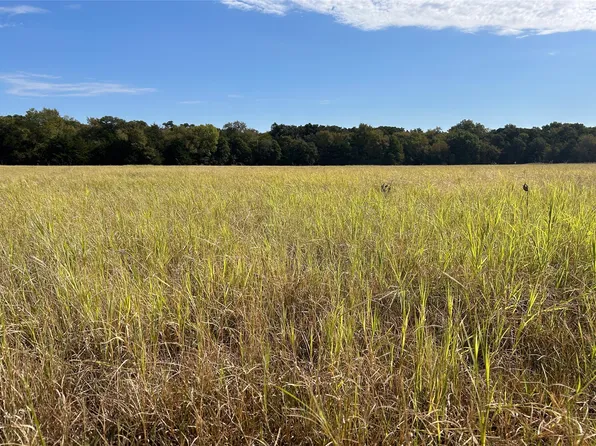 Tbd8 County Rd #141, Gainesville, TX 76240