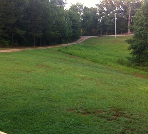 front looking at road