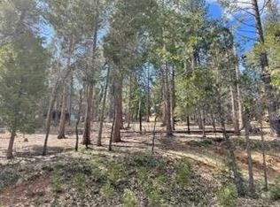 484 Dean Way, Arnold, CA 95223