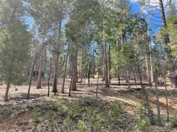 484 Dean Way, Arnold, CA 95223