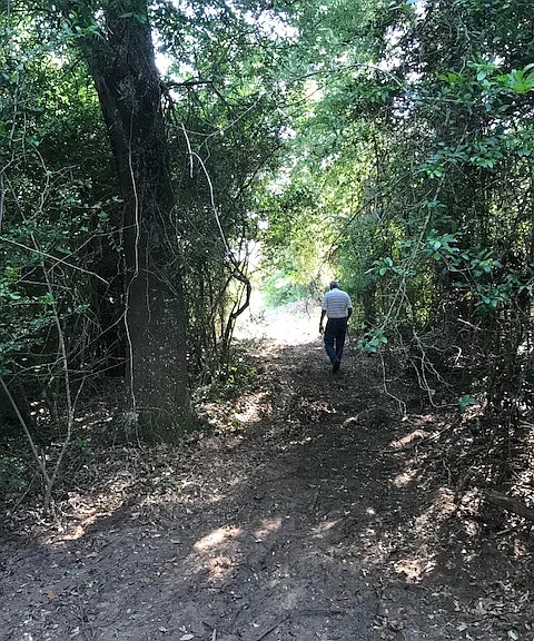 Manuel Rd — Photo 22