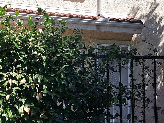 Front patio and entrance to unit