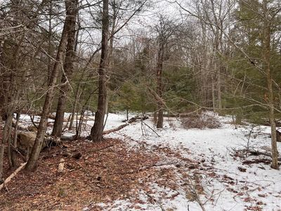 Adams Road, Rock Hill, NY, 12775