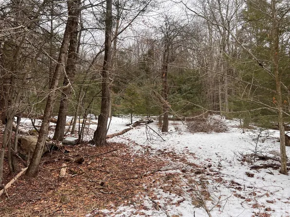 Adams Road, Rock Hill, NY 12775